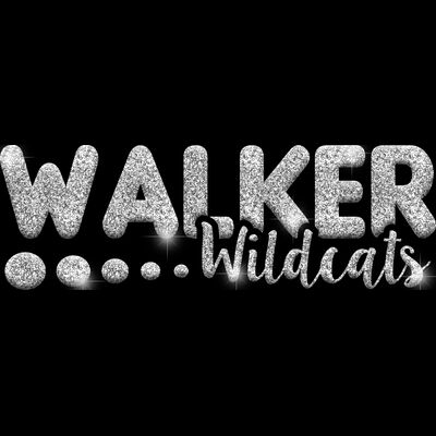 GLT80 SILVER GLITTER Thumbnail